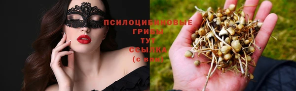 мескалин Новозыбков