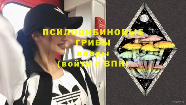 синтетический гашиш Новодвинск