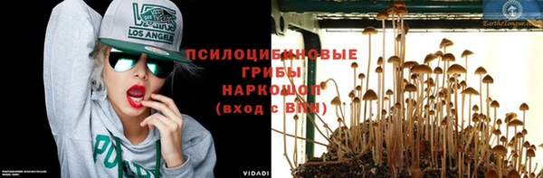 мескалин Новозыбков